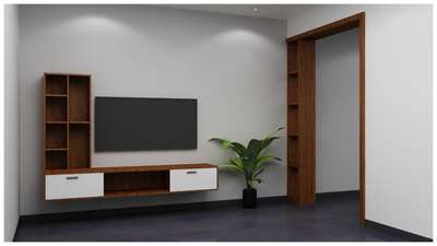 TV unit