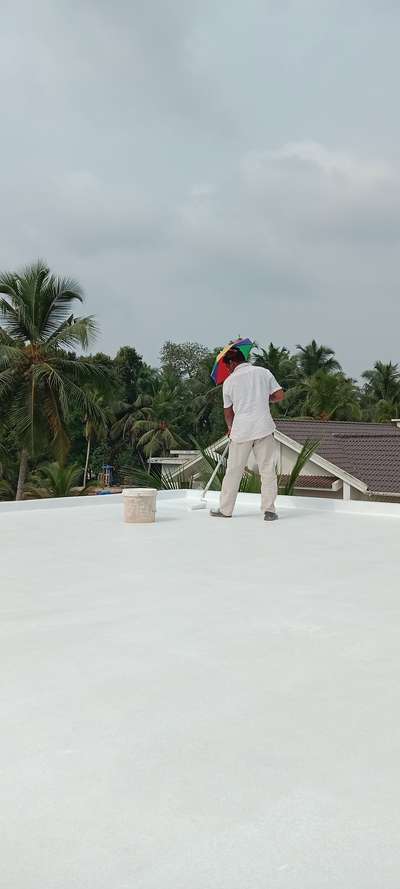 roof  water proofing  
Asian paints  dam proof ultra