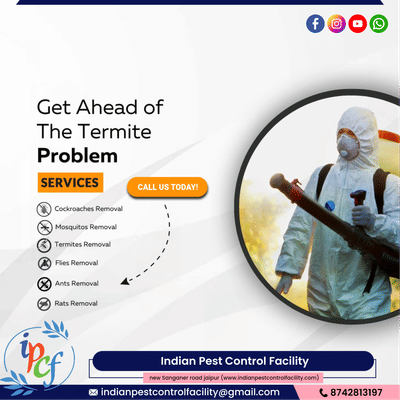 #pestcontrol  #anti-pest  #ipcf  #termitecontrol  #termitetreatment