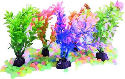 The Big Fish Beautiful Aquarium Multicolour Plants for Home Fishes Tank Decoration (Set of 5)
for buy online link
https://amzn.to/3ZQE51j
for more information watch video
https://youtu.be/PhZ4mzpMbkw
https://youtu.be/-CCGMuhbj90