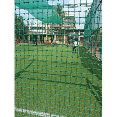 cricket net