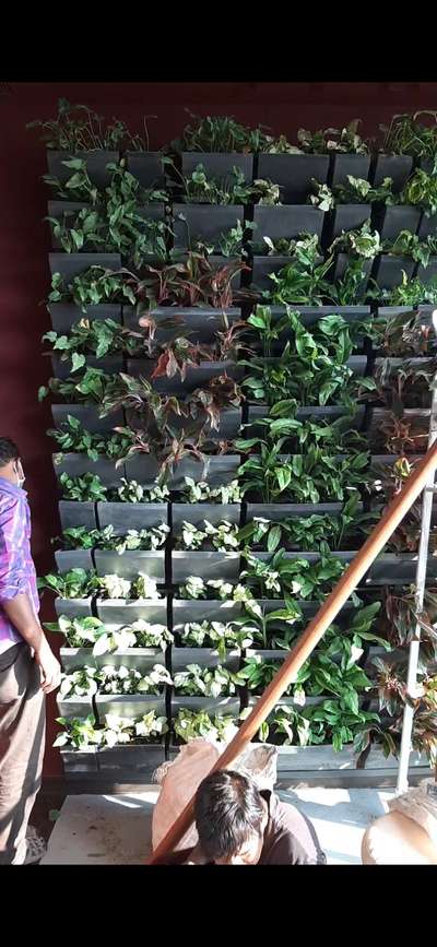 #VerticalGarden #vertical_garden #greenwalls #irrigation  installed vertical green water with automated drip irrigation. Super idea to add life to indoor spaces.