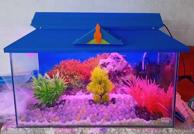 Aquarium full set ₹:-2300/-
Aquarium / Blue Top/ LED light/ Background image / White marable stones/ Glass Stones/ Internal Filter / Artificial Plants Big/ Fish Food/ 7 Gold Fish
TOTAL :-2300/-
 #wall_aquarium  #aquarium #fishtank  #aquascaping #goldfish