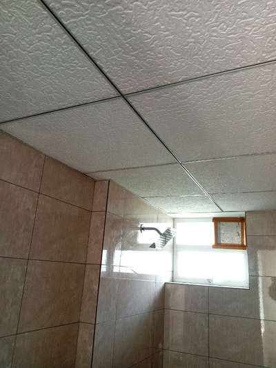 #GridCeiling @toilet