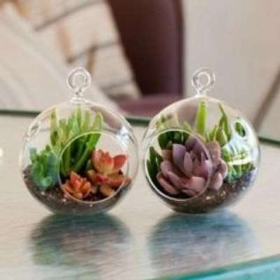 Leafy Dew Hanging Round Glass Terrarium
#interior #decor #ideas #home #interiordesign #indian #colourful #decorshopping