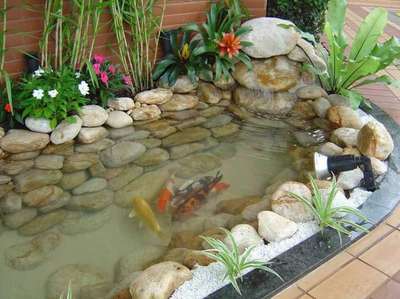 Beautiful Backyard Pond Ideas