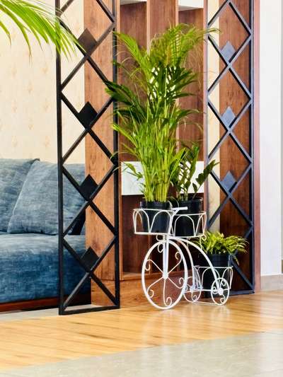 Indoor plants #Indoilants  #indoorcourtyad