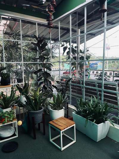 aspentheplantstore
8086914000/9074092879