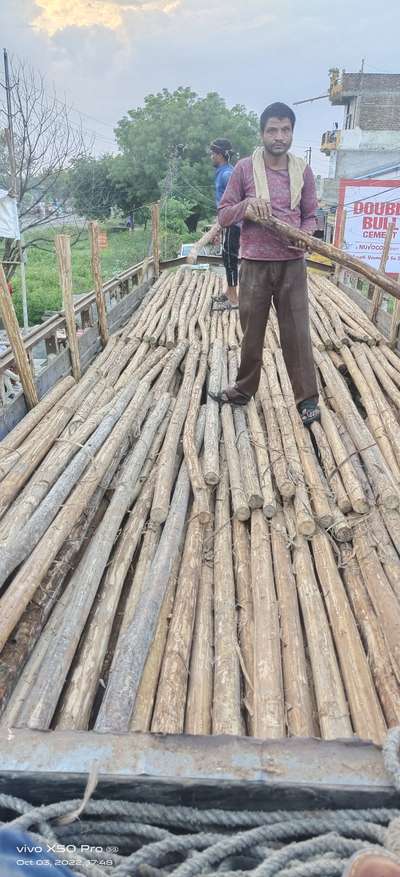 woodan pols bamboo Desi baas chali suplayrs