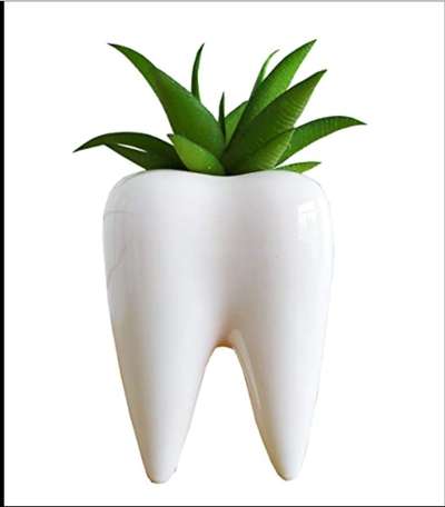 Teeth pot....7 inch...2 pc...1200 free shipping
 #pot_stand  #potdecor  #IndoorPlants  #interiore   #InteriorDesigner  #InteriorDesigne  #koło  #koloaap  #kolofolowers  #kolopost  #followers  #follow_me  #follow  #like  #likeforfollow  #likeforlike  #likeme  #explore  #exploremore  #explorepage  #viralpost 
Contact us 👉
www.pratyushinteriors.com