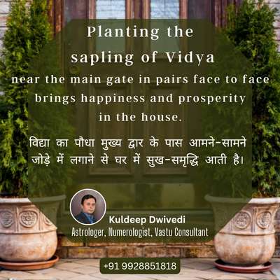 Planting the sapling of Vidya near the main gate in pairs face to face brings happiness and prosperity in the house.
.
विद्या का पौधा मुख्य द्वार के पास आमने-सामने जोड़े में लगाने से घर में सुख-समृद्धि आती है।
.
#vastuconsultant  #vastu #vastuexpert # #vastutipsforhome #Planting #Vidya #maingate #maingatevastu #pairs #face #happiness #prosperity #house
#विद्या #पौधा  #मुख्यद्वार #घर #सुख #समृद्धि