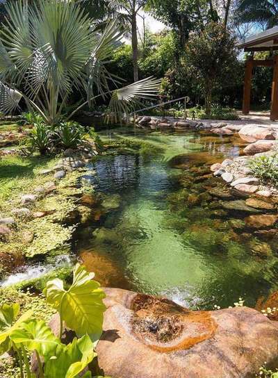 Beautiful Backyard Pond Ideas