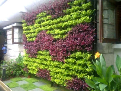 #VerticalGarden #BalconyGarden #LandscapeGarden #landscapegardening