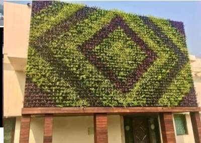 *Natural vertical garden*
natural and designing project home Mall industry
