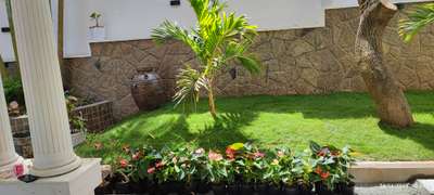 vegetable garden/pebble and artificial garden and lone