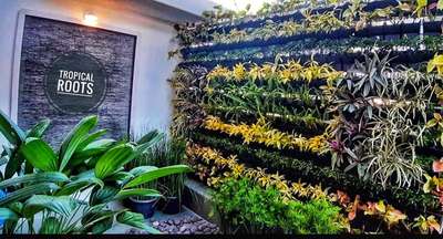 vertical garden #tropical roots landscaping #9747927921 #9074983788