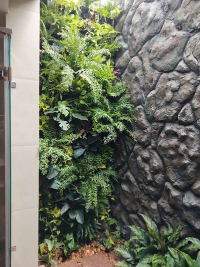 vertical garden inside court with cement finished wall art