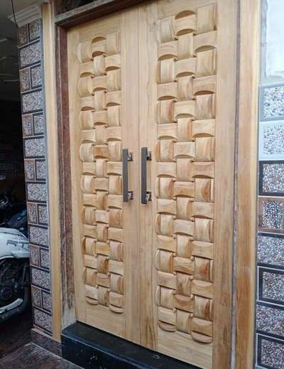 home door design