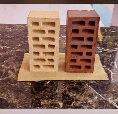 Bricks Street 📞+91 9772347170
Products :- Lightweight MultiHole Exposed Bricks
Material:-  Premium Clay 
Usage :- Both interior & exterior design wall 
Benefits:- Light Weight, Sound & Thermal Insulator, Design wall #brickarchitecture  #bricks_street #Brickwork #brickwall #InteriorDesigner #HouseRenovation #Renovationwork #Architectural&Interior #jaipurcity