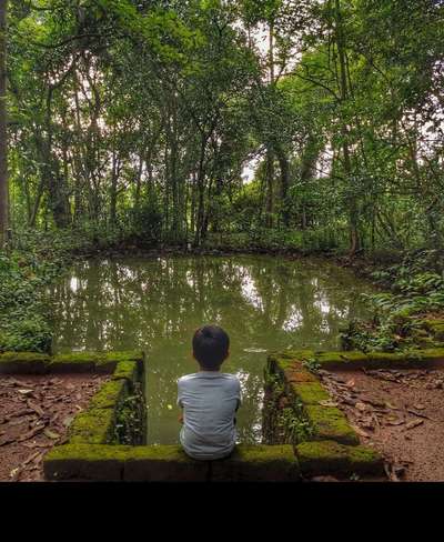 ####പ്രകൃതി ഭംഗി #####❤❤❤❤