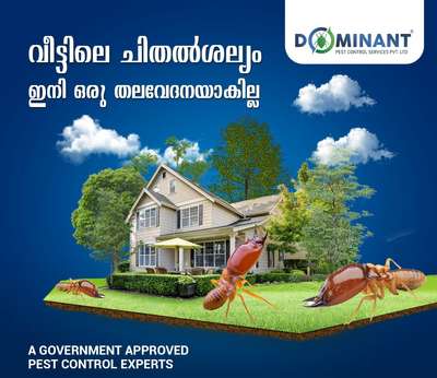 Anti-termite Treatment
All over Kerala
with warranty

for Enquiries call us @ 8089618518