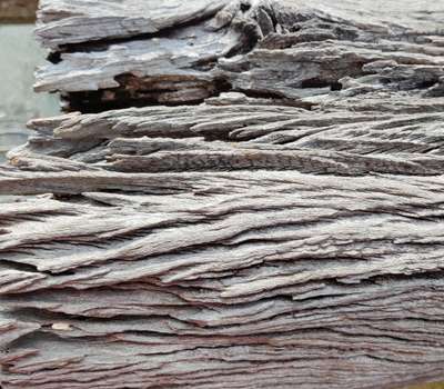 Natural wood texture