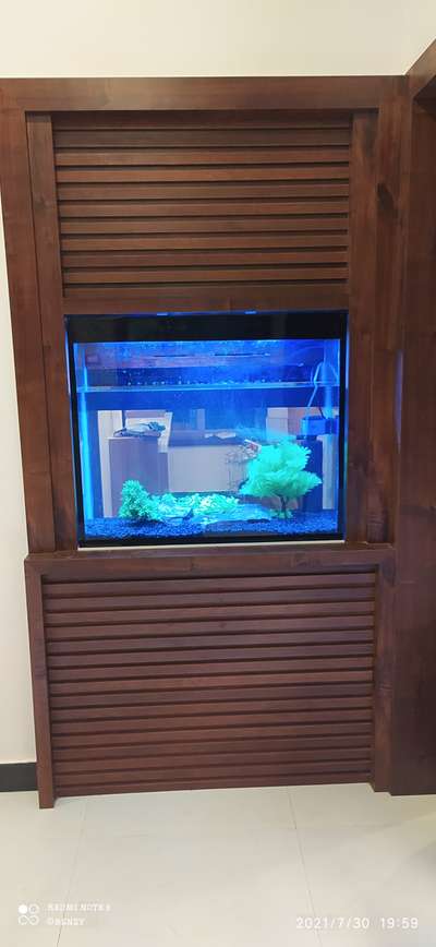 #fishtank #fish #aquarium #plasma