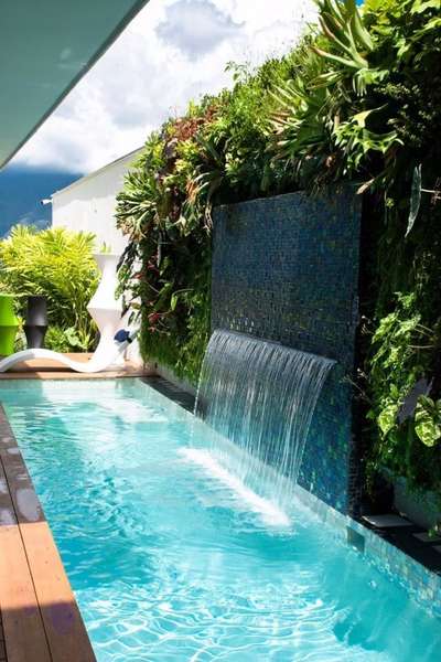 #VerticalGarden  #fountain