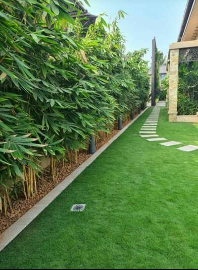 Beautiful Landscape Client Ajmal Bismi residence. Mexican grass with natural stone and Golden bamboo fencing. more enquiry contact @AG. all Kerala service available