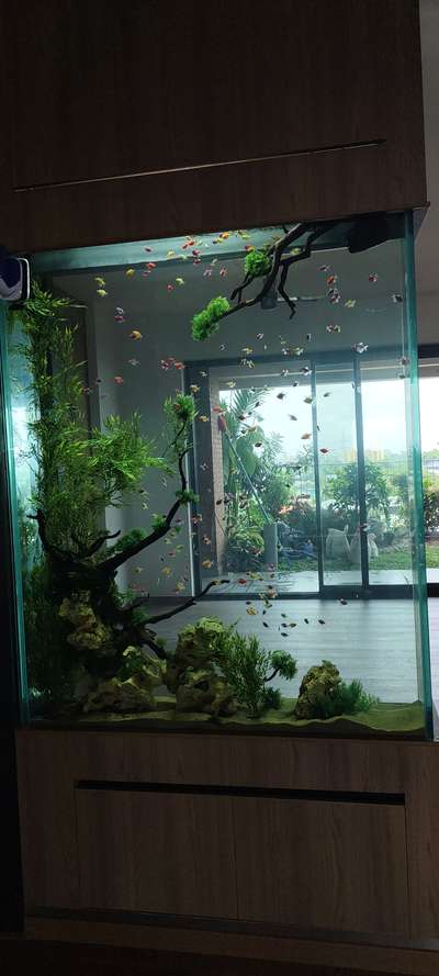 #wall_aquarium  #aquarium
 #