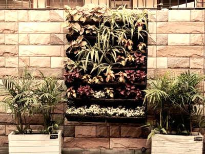 #verticalgarden.