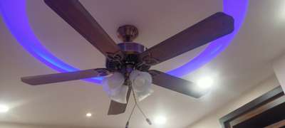 fancy light fan