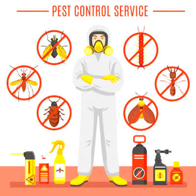 Pest Control service