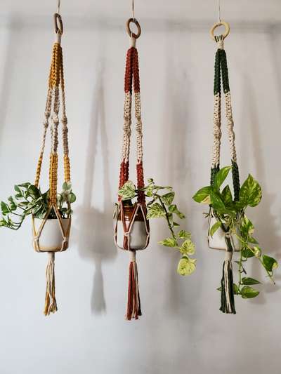 Macrame Dual Color Plant Hanger
DM for order 🛒 
Shipping all over India 🇮🇳 📦 
.
.
#macrame #macrameplanthanger #macramelove #macrameart #IndoorPlants #planthangers #HomeDecor #interiordecor