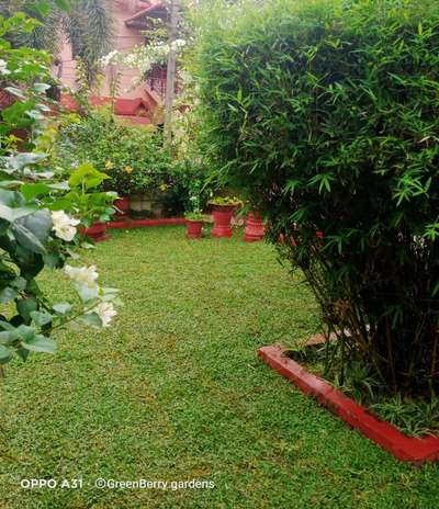 #LandscapeIdeas #Landscape