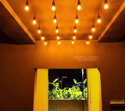 balcony garden#tropical roots landscaping#client-drunken monkey kadavanthra,kochi