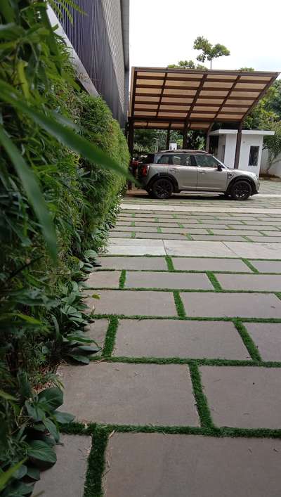 Bangalore stone with grass