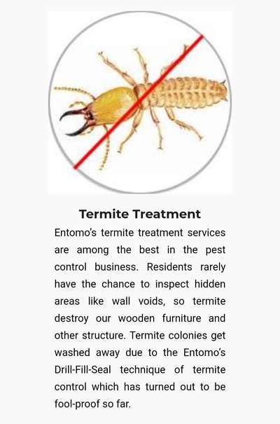 TERMITE TREATMENT FOR NEW OR OLD WOODWORK