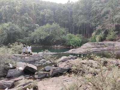 കോഴിക്കോട് തിരുവമ്പാടി :-
റിസോട്ട്, ഹോം സ്റ്റെ തുടങ്ങിയവയ്ക്ക് അനുയോജ്യമായതും വ്യൂ ഉള്ളതുമായ ഇരുപത്തി എട്ടര സെന്റ് സ്ഥലം വിൽപ്പനയ്ക്ക് താൽപര്യമുള്ളവർക്ക് ബന്ധപ്പെടാം
Mobile 9526217041