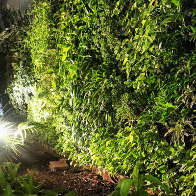 Landscape Lighting 
#interiordesign
#interiorconsultant
#electricalservices 
#industrialwork 
#industrialelectrical 
#industrialelectrician 
#electrician 
#industrialdesign 
#electriciannearme 
#electriciannearkakkanad
#electricianinernakulam
#electricalwork
#electrical 
#electricianernakulam 
#electriciankalamassery 
#kalamassery
#viral #vibe
#electricaldesign
#electricalcontractor 
#electricalcontractors 
#profilelights 
#profilelighting 
#profilelightdesign
#ensembleelectric #LandscapeIdeas #LandscapeGarden #landscapelights #bollards #VerticalGarden #verticalgardenlighting