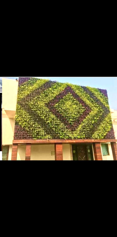 vertical garden natural contact for 989933 6807 starting price 699 square feet