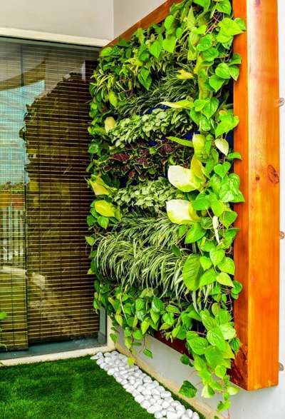 Natural vertical garden 🌱 to improve the air quality and it also enhances the beauty of your wall 🧱.
Contact us to install vertical garden at your place.

📞9818616727
✉️ greenspacedecor55@gmail.com
.
.
.
.
#nature #verticalgarden #greenwalls #peace #plant #beauty #landscape #homedecoration