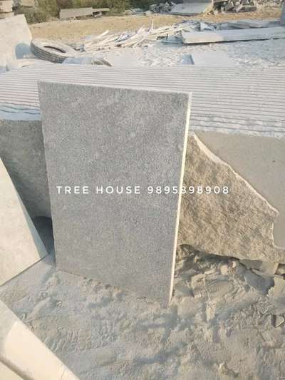 Tree House 9895898908