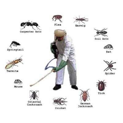 Bird net service & pest control 
Bird spike & monkey spike
Call 9315340210
Delhi,gurugram,noida, faridabad ,gaziyabad #pestcontrol