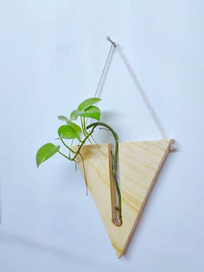 *TRI - Wall Decor*
Indoor water-plant Stand 22 cms Borosilicate tubes included