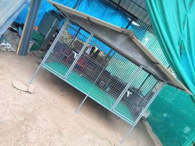 NEW GOT CAGE FOR SALE
Well fineeshd cage,size: 8×4×4(length× with× hight),10mm rod , double DOR with MATT. 
TRANSPORTATION AVAILABLE