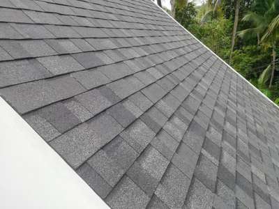 Shingles work