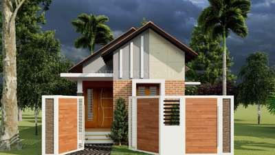 3D visualization of 556 Sq ft. home #3dvisulization  #lumion11pro  #sketcup2021  #SmallHouse  #sheetroof