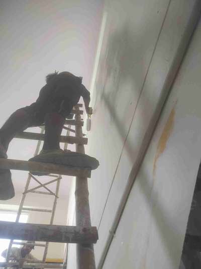 Ladder mumty obd paint