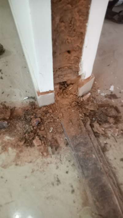 termite treatment at low cost
#termitecontrol #pestcontrol